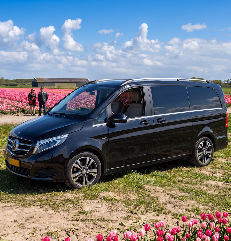 سيارة مرسيدس V-Class سوداء بجانب حقول التوليب المزهرة قرب أمستردام