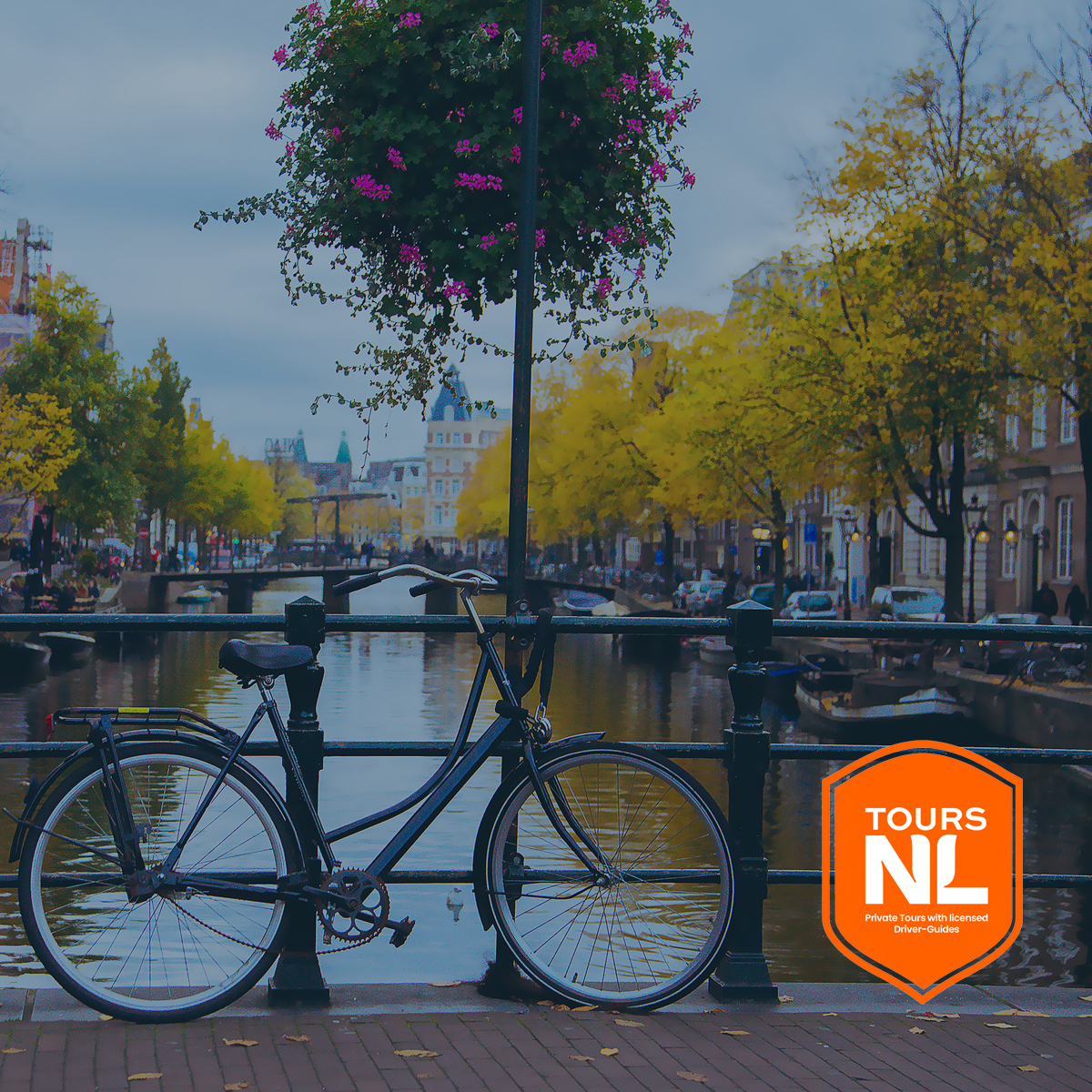 Bike Tours in Amsterdam